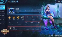 王者阿宝爆料视频,揭秘游戏幕后精彩瞬间